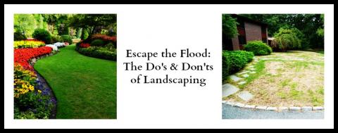 Do's and Dont's of Landscaping
