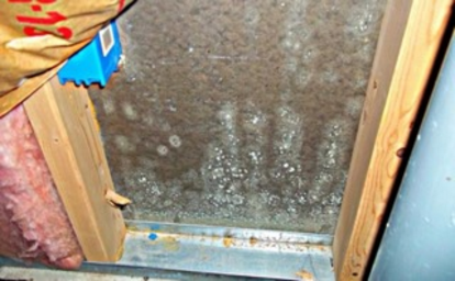 mold in the insulation of a home