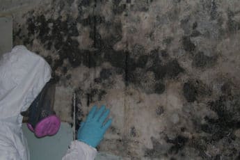 cleaning mold damage off a wall
