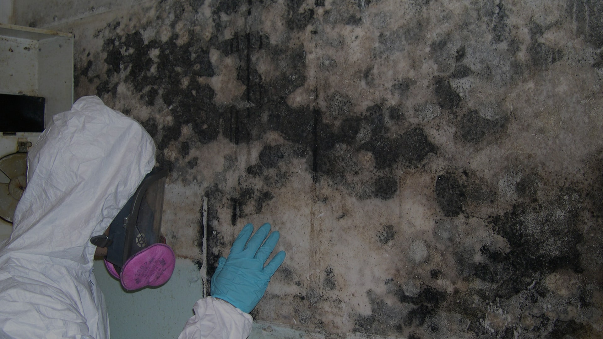 cleaning mold damage off a wall