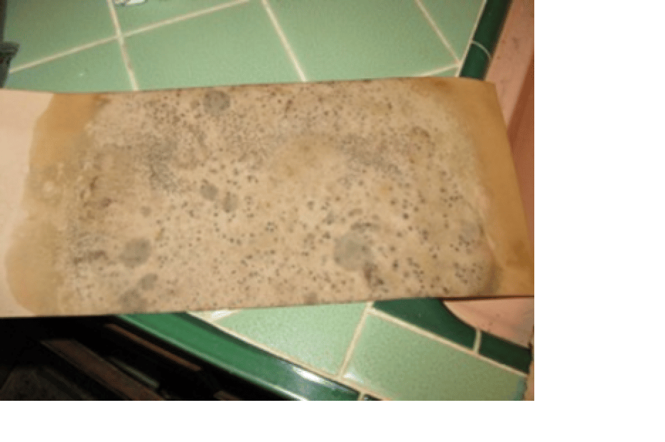 mold and smoke damage found in a home